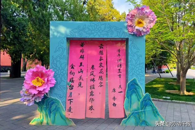 “太庙牡丹游园活动”嗨玩8天！赏花观演、集章打卡、文创市集一站式畅玩