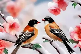 转发别人头条有收益吗？图片