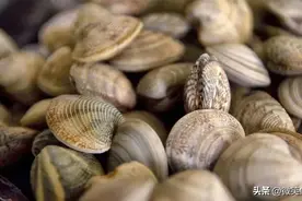 蛤蜊、毛蚶、蛏子、蚬子谁是谁？一张图看懂贝类江湖！图片