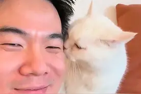 董宇辉回到陕西老家，和二狗在线拜年，网友：看出来了，很恩爱！图片