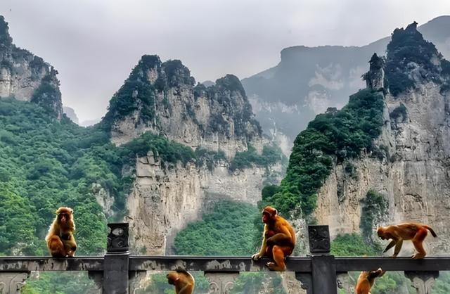 去了3次河南济源，说实话，不吹不黑	，这就是真实的济源