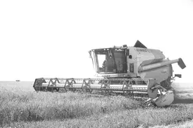 中国与中亚农业合作收获共赢图片