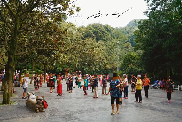 藏在贵阳市中心的“城市绿肺”，免费4A级景区，野生猕猴成群？