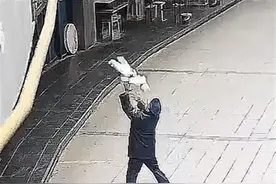 “商场保安徒手接住坠楼婴儿”视频热传，宝鸡一保安公司：系模拟摆拍，接住的是布娃娃图片