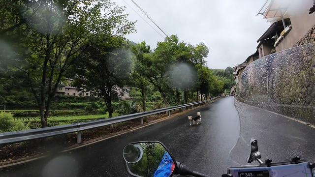 皖浙摩旅二人转——松阳陈家铺篇（上）