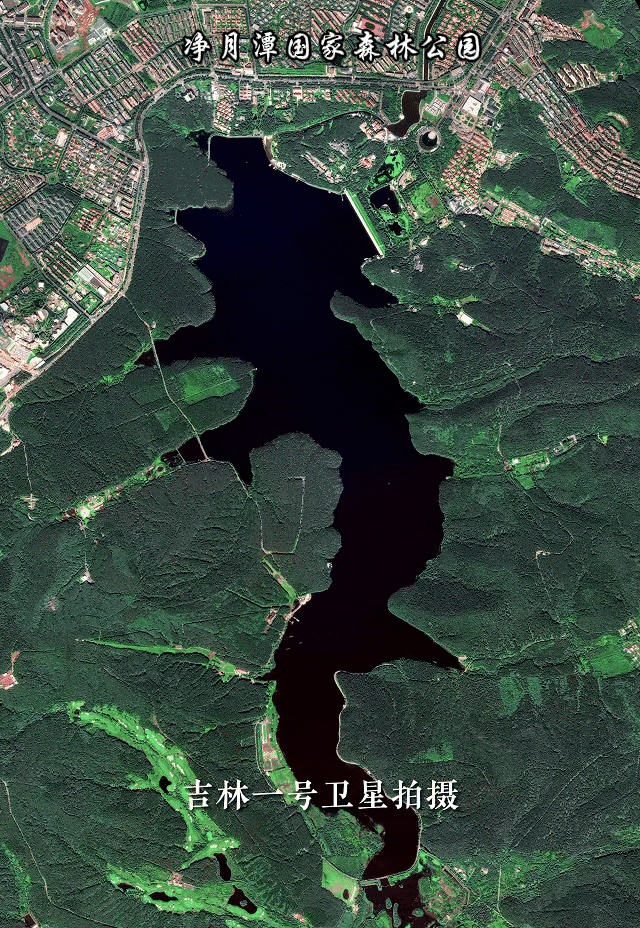 在吉林，什么是根？