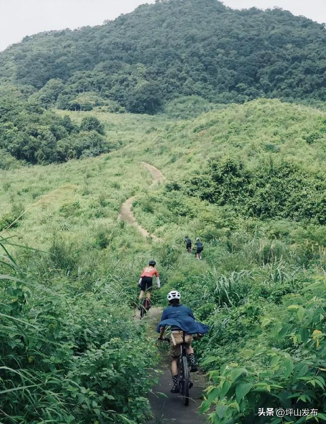 骑遇坪山① | 宝藏“高颜值”骑行线，拍出森系大片刷爆朋友圈