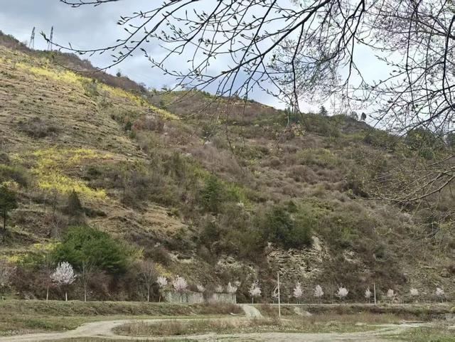 徽县麻沿河镇：暮春盛景惹人醉