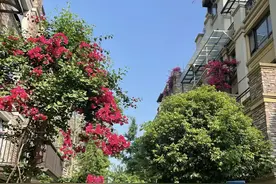 再便宜也不买！这6种房不好住也卖不掉，内行人：妥妥“穷人房”图片