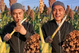 5位过气明星回归农村生活，摆摊种地养猪，如今风光不再却很踏实图片