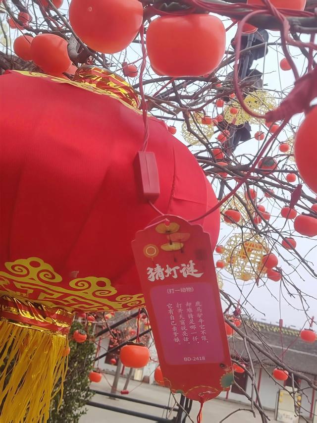 百年古仓闹元宵！丰图义仓嘉年华非遗、汤圆、光影盛宴邀您赴约