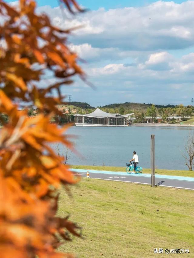注意！这不是油画，而是成都的彩色秋天！
