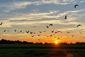 一个人，如果经常把自己的旧衣服送给别人，往往是这3种命运图片