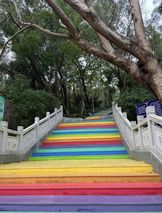 绝美！珠海小众绿道盘点！可徒步可骑行！