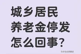 城乡居民养老金突然停发？这5种情况一查便知，别慌！图片