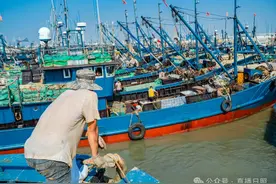就在明天！日照人又要“炫”起来了！图片
