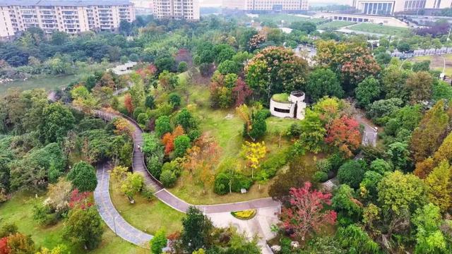 开篇暴击：九江秋季 “顶流” 集结，颜值巅峰已在路上！