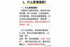 什么是增值税、销项税、进项税、留抵退税图片