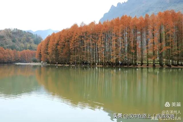 龙池秋色惹人醉