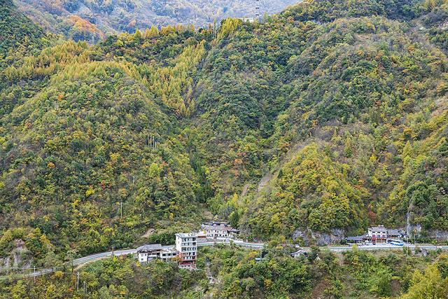 2024深秋四川行19 神农架风景区2 华中屋脊的五彩秘境