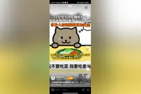 国服梦琪“胖猫”事件：天赋背后的心酸与反思！图片