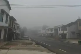 农村留守妇女，清晨带娃买菜；生活虽清贫，但也不乏滋味图片