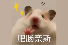 准本科生必看！地矿高校报考指南来了！图片