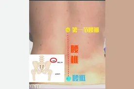 不同位置的腰痛，原因都有哪些？医生手把手教你区分（含图解）图片