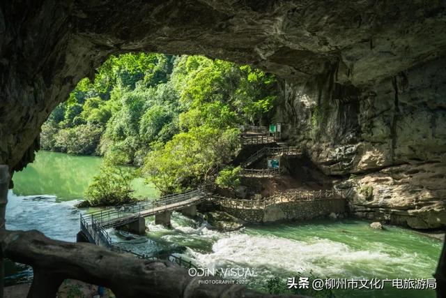 来鹿寨做夏天最爽的“野生代言人”