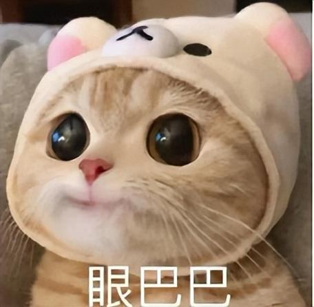 超治愈！赤峰居然集齐了这么多“秋色”