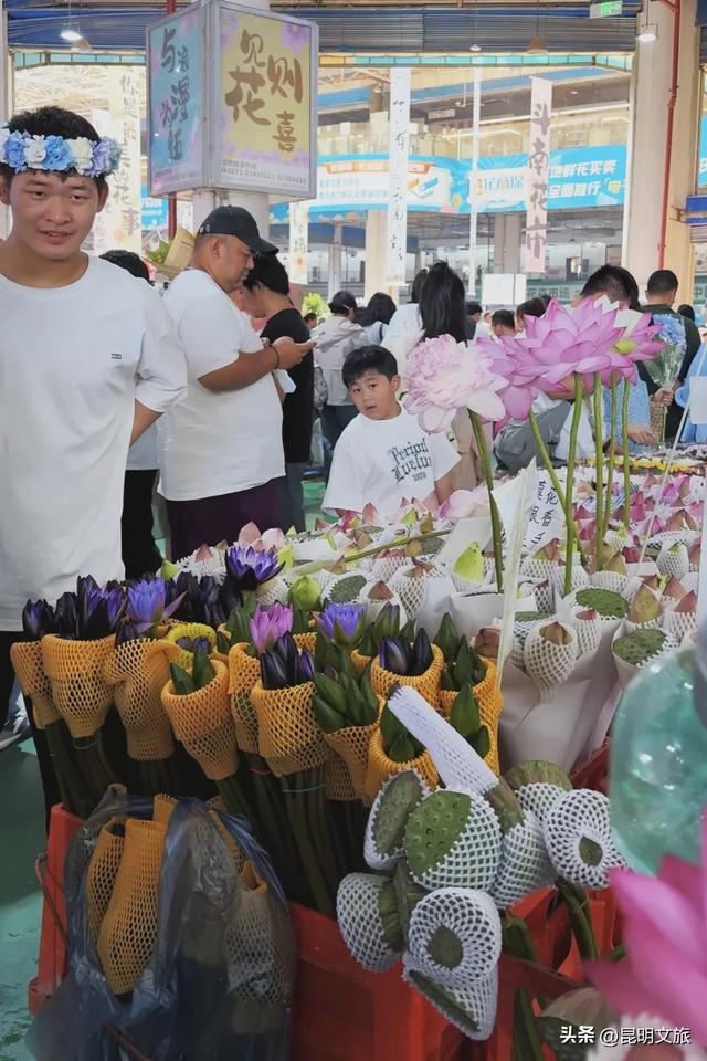 人头攒动、热闹非凡！玩转昆明不重样！国庆中秋假期，昆明各县区文旅成绩单来了~