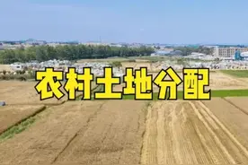 二轮土地承包时、有以下三种情况的农民都没分到土地图片