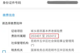 城乡居民基本养老保险保费可以怎么缴？图片