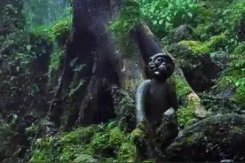 网友“热炒”神秘哀牢山：深潭藏“蛟”、全是原始森林、大地磁场异常……哀牢山三大 谜团揭秘图片