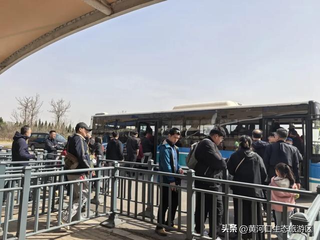 【黄河口生态旅游区】清明踏青正当时|黄河口人气爆棚,各景点游人如织!