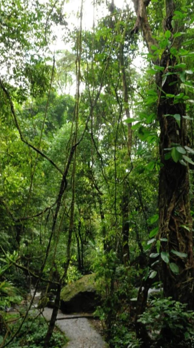 泼水节刚过就去德宏，在云南西南角发现了一块东南亚飞地