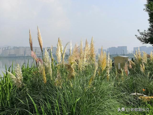 冬天的早上 晒着太阳从大观楼徒步到西山茶马花街 是什么样的感受？