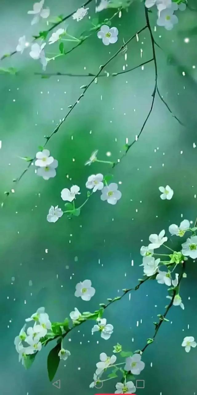 初秋雨中的景让人朦胧迷离，丝丝凉意掠过心田，别样滋味涌上心头