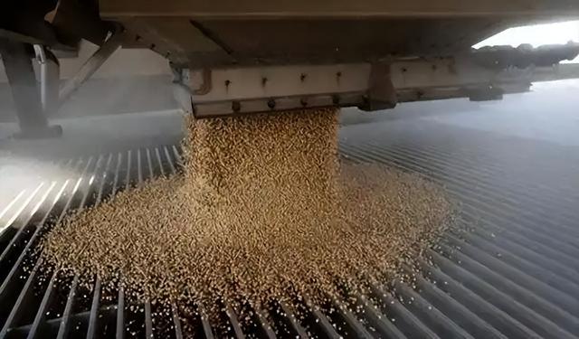 200万吨大豆烂港！巴西赌中国离不开它，却忘了中国早握3张王牌