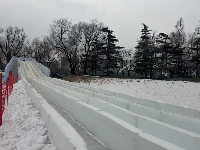 “就是我童年的乐趣！”时隔六年，玉渊潭公园冰场回归！