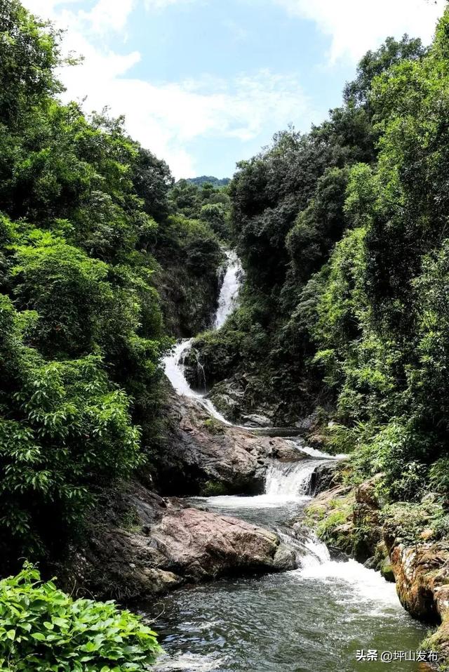 骑遇坪山① | 宝藏“高颜值”骑行线,拍出森系大片刷爆朋友圈
