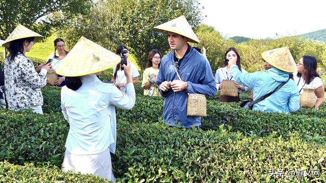 多国嘉宾共探红色遵义，感受特色产业发展活力！