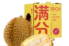 金枕榴莲全面上市!京东七鲜发布“满分榴莲标准”,行业首推三保服务图片