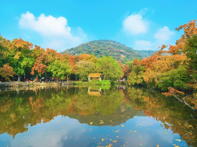 又见天平山：一叶知秋，一枫醉心