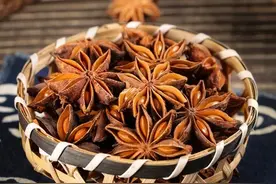 中餐香料不仅是提味增香也是药食同源10种香料介绍图片