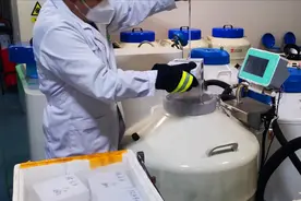 处于濒临灭绝！专家下乡仅发现39头，只有1头是公的图片