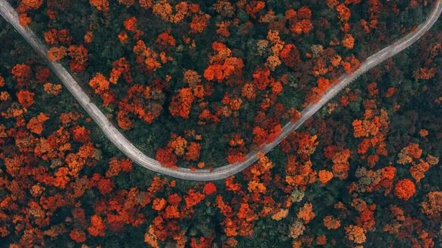 峨眉山这种级别的秋景，我愿称之为饱和度战神