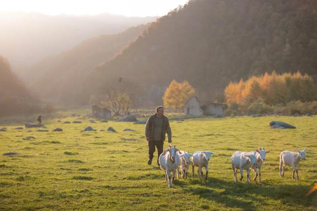 赏秋正当时!自驾来汉中,赴一场秋日视觉盛宴~