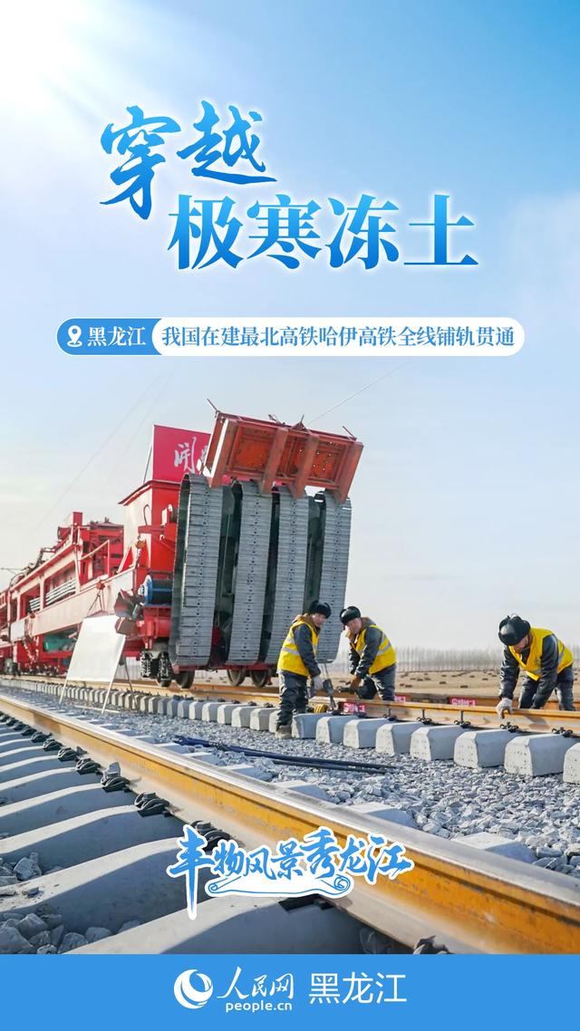 丰物风景秀龙江｜黑土地的初冬交响