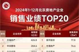 中海地产的下半场：城头变换图片